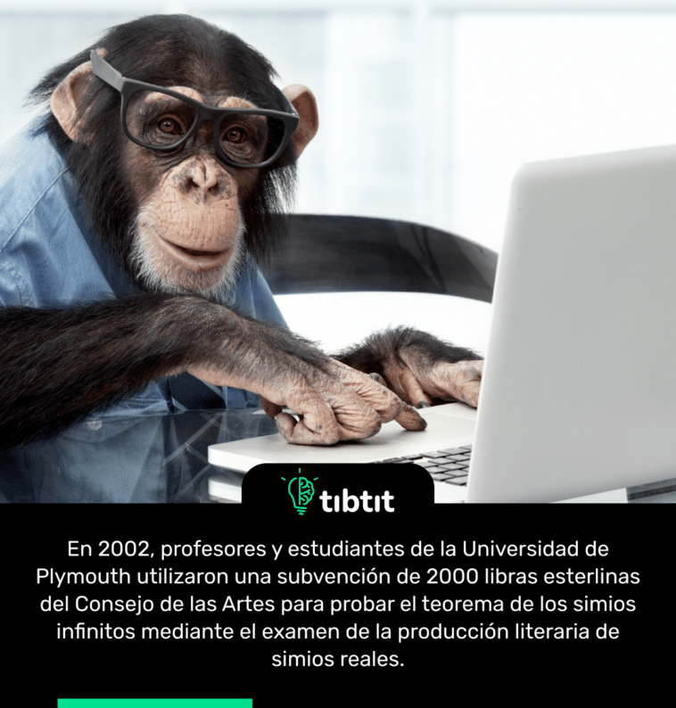 En 2002, profesores y estudiantes de la Universidad de Plymouth utilizaron una subvención de 2000 libras esterlinas del Consejo de las Artes para probar el teorema de los simios infinitos mediante el examen de la producción literaria de simios reales.