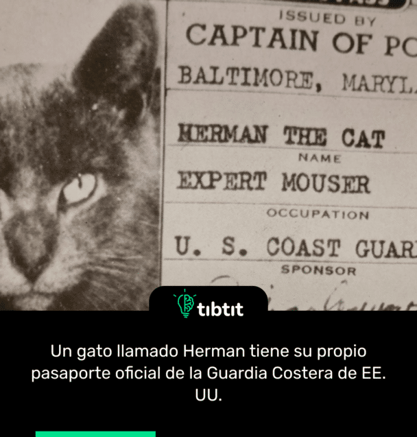 Un gato llamado Herman tiene su propio pasaporte oficial de la Guardia Costera de EE. UU.