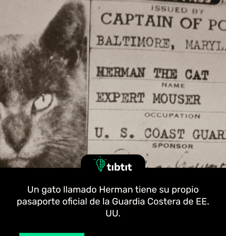 Un gato llamado Herman tiene su propio pasaporte oficial de la Guardia Costera de EE. UU.