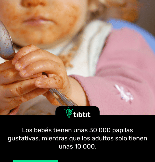 Los bebés tienen unas 30 000 papilas gustativas, mientras que los adultos solo tienen unas 10 000.