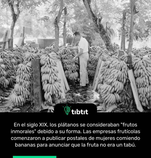 En el siglo XIX, los plátanos se consideraban "frutos inmorales" debido a su forma. Las empresas frutícolas comenzaron a publicar postales de mujeres comiendo bananas para anunciar que la fruta no era un tabú.