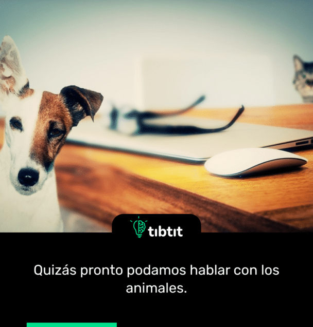 Quizás pronto podamos hablar con los animales.