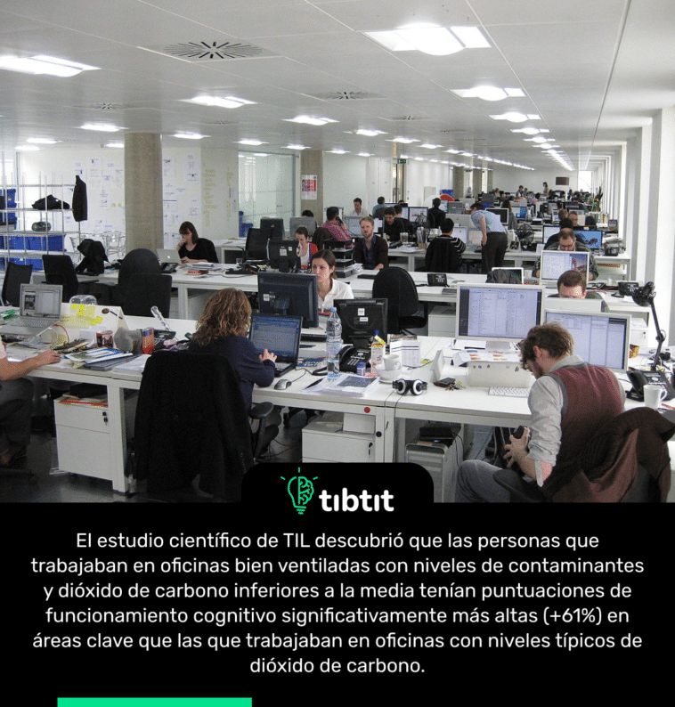 El estudio científico de TIL descubrió que las personas que trabajaban en oficinas bien ventiladas con niveles de contaminantes y dióxido de carbono inferiores a la media tenían puntuaciones de funcionamiento cognitivo significativamente más altas (+61%) en áreas clave que las que trabajaban en oficinas con niveles típicos de dióxido de carbono.