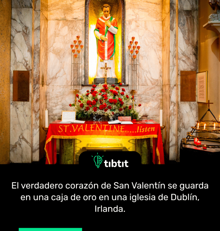 El verdadero corazón de San Valentín se guarda en una caja de oro en una iglesia de Dublín, Irlanda.