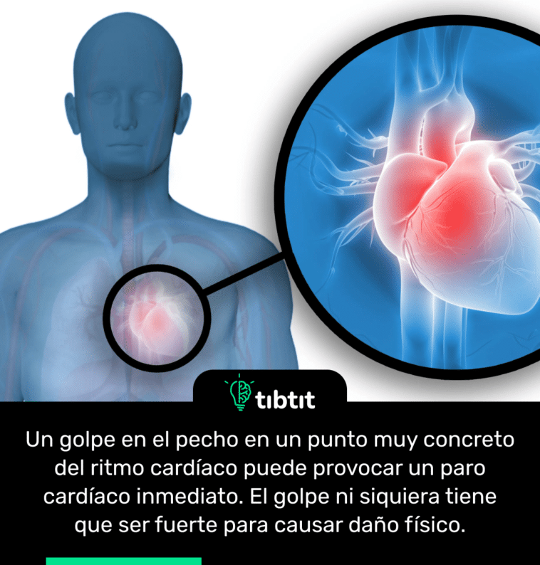 Sabías Que Puñetazo Directo Al Corazón Curiosidades And Datos Curiosos Los Datos Y 1802