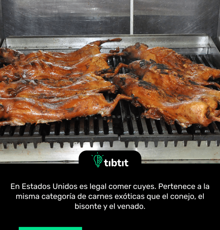 En Estados Unidos es legal comer cuyes. Pertenece a la misma categoría de carnes exóticas que el conejo, el bisonte y el venado.