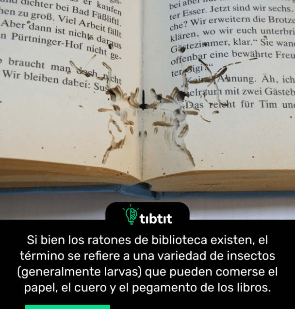 Si bien los ratones de biblioteca existen, el término se refiere a una variedad de insectos (generalmente larvas) que pueden comerse el papel, el cuero y el pegamento de los libros.