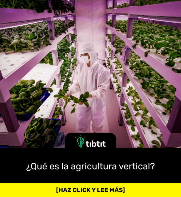 ¿Qué es la agricultura vertical?