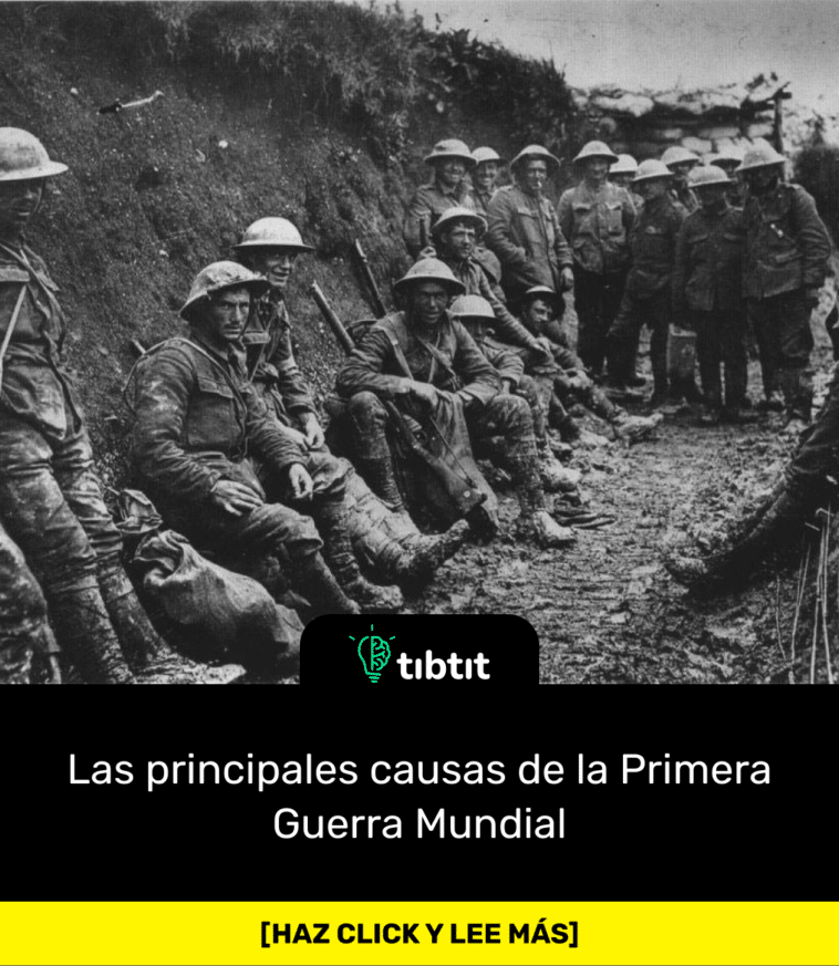 Las principales causas de la Primera Guerra Mundial