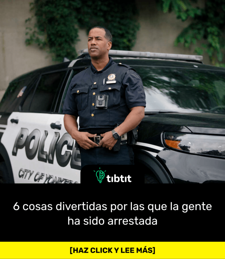 6 cosas divertidas por las que la gente ha sido arrestada