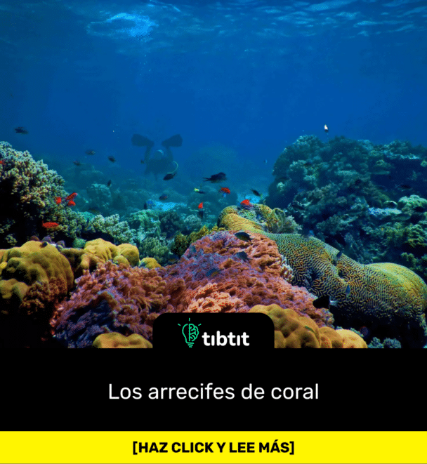 Los arrecifes de coral