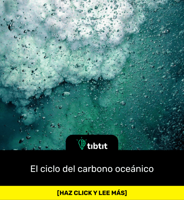El ciclo del carbono oceánico