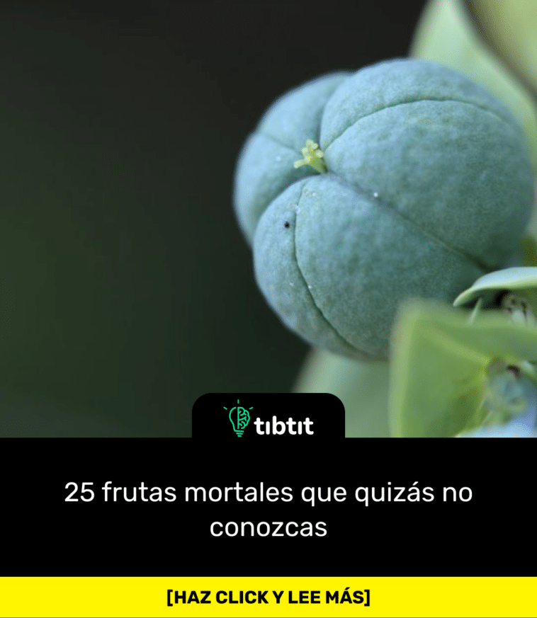25 frutas mortales que quizás no conozcas