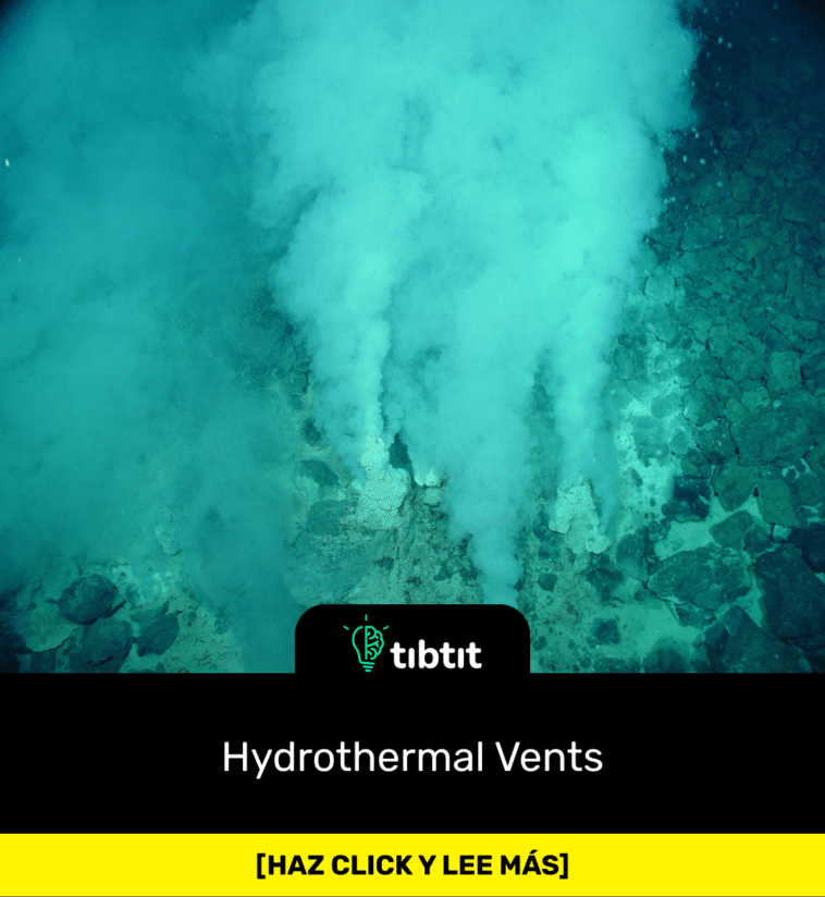 Hydrothermal Vents