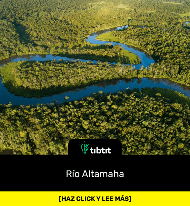 Río Altamaha