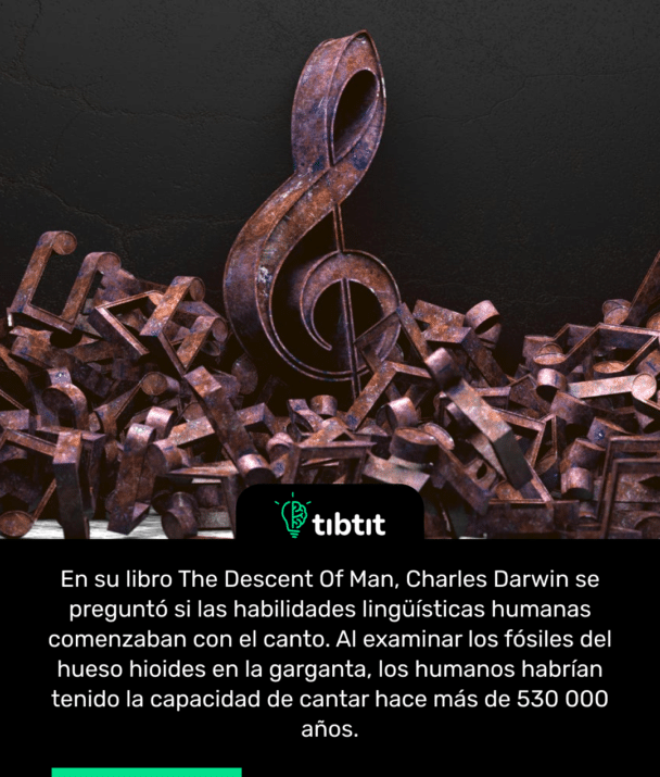 En su libro The Descent Of Man, Charles Darwin se preguntó si las habilidades lingüísticas humanas comenzaban con el canto. Al examinar los fósiles del hueso hioides en la garganta, los humanos habrían tenido la capacidad de cantar hace más de 530 000 años.