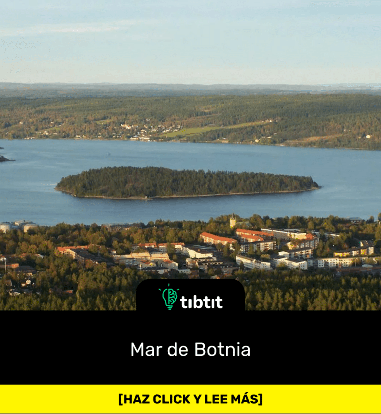 Mar de Botnia