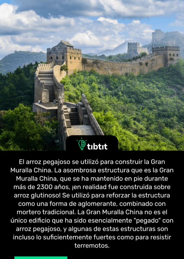 El arroz pegajoso se utilizó para construir la Gran Muralla China. La asombrosa estructura que es la Gran Muralla China, que se ha mantenido en pie durante más de 2300 años, ¡en realidad fue construida sobre arroz glutinoso! Se utilizó para reforzar la estructura como una forma de aglomerante, combinado con mortero tradicional. La Gran Muralla China no es el único edificio que ha sido esencialmente "pegado" con arroz pegajoso, y algunas de estas estructuras son incluso lo suficientemente fuertes como para resistir terremotos.