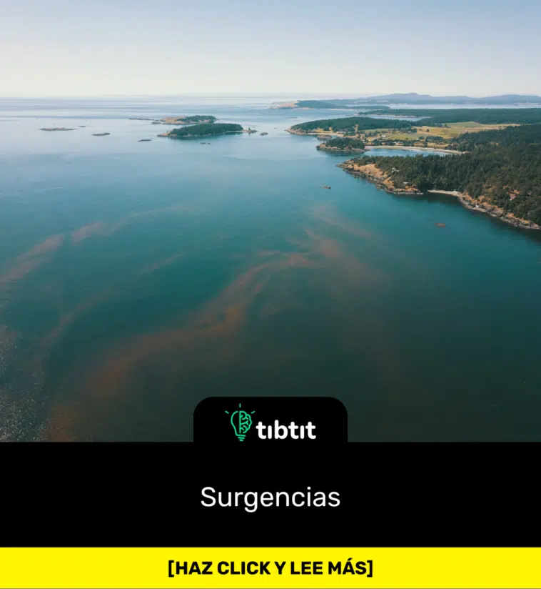 Surgencias