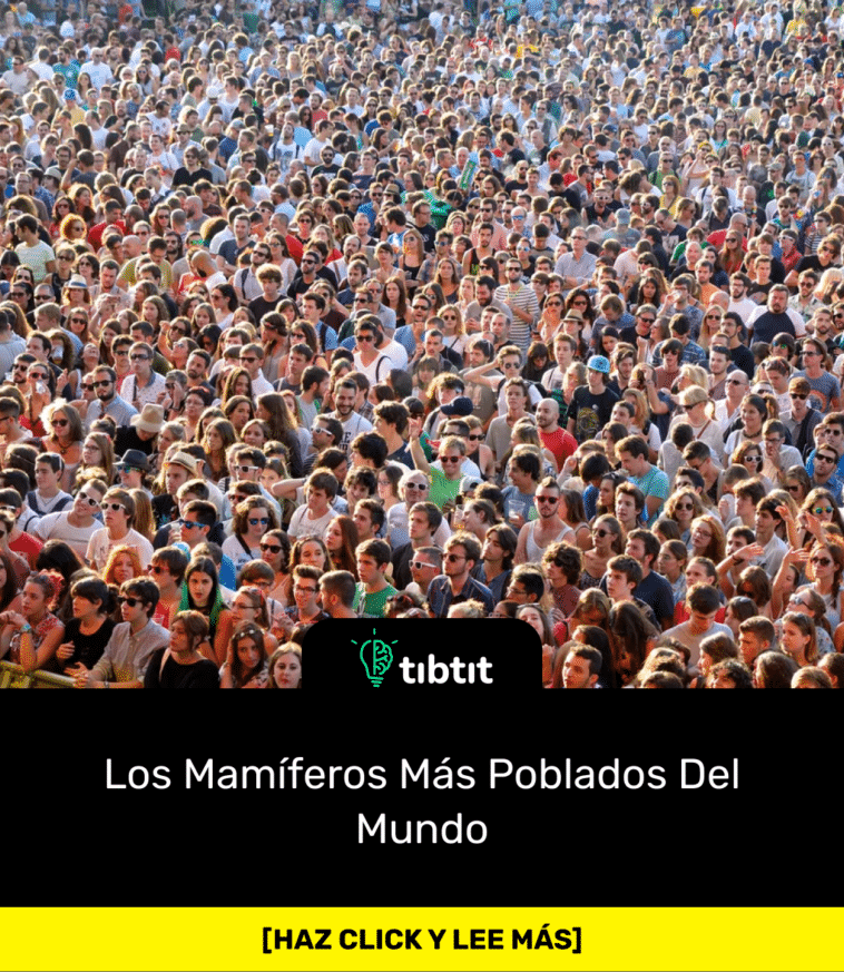 Los Mamíferos Más Poblados Del Mundo