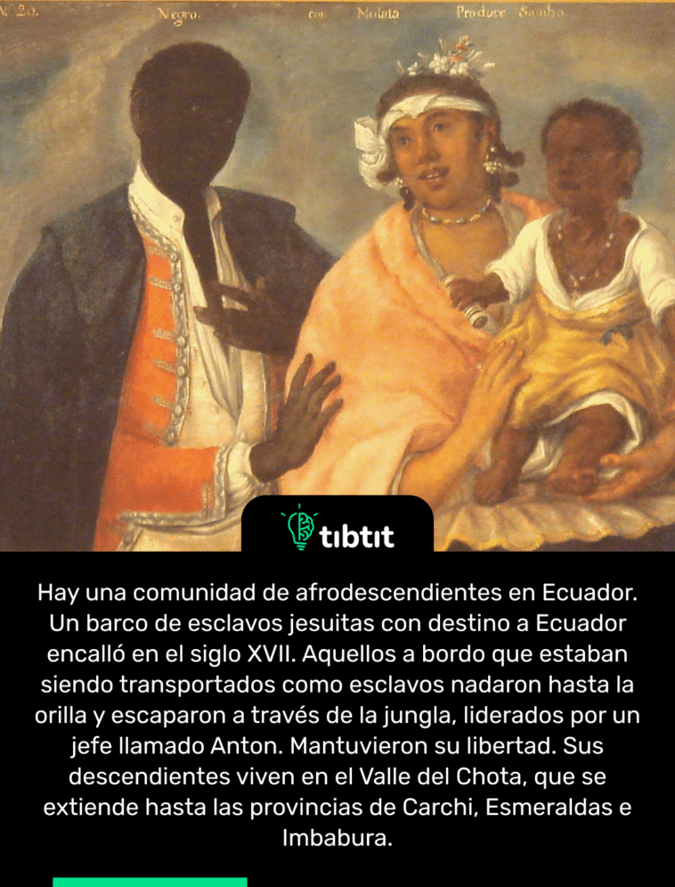 Hay una comunidad de afrodescendientes en Ecuador. Un barco de esclavos jesuitas con destino a Ecuador encalló en el siglo XVII. Aquellos a bordo que estaban siendo transportados como esclavos nadaron hasta la orilla y escaparon a través de la jungla, liderados por un jefe llamado Anton. Mantuvieron su libertad. Sus descendientes viven en el Valle del Chota, que se extiende hasta las provincias de Carchi, Esmeraldas e Imbabura.
