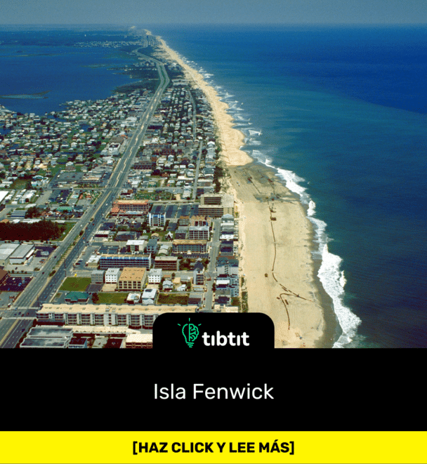 Isla Fenwick