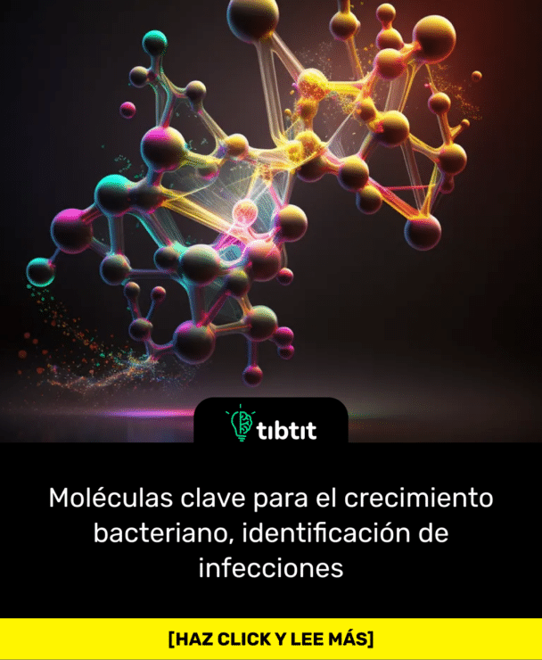 Moléculas clave para el crecimiento bacteriano, identificación de infecciones | Escuela Médica de Harvard
