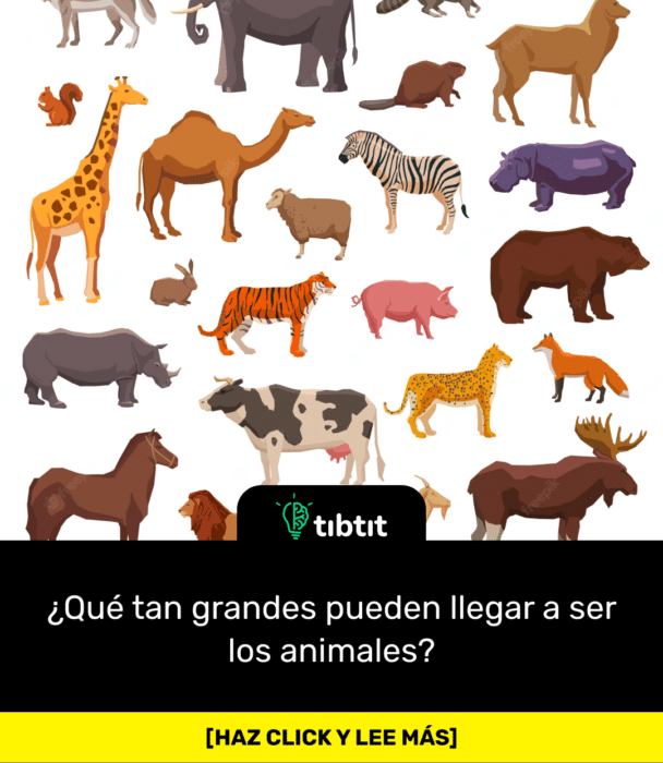 ¿Qué tan grandes pueden llegar a ser los animales?