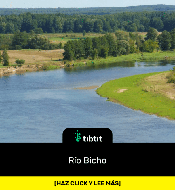 Río Bicho