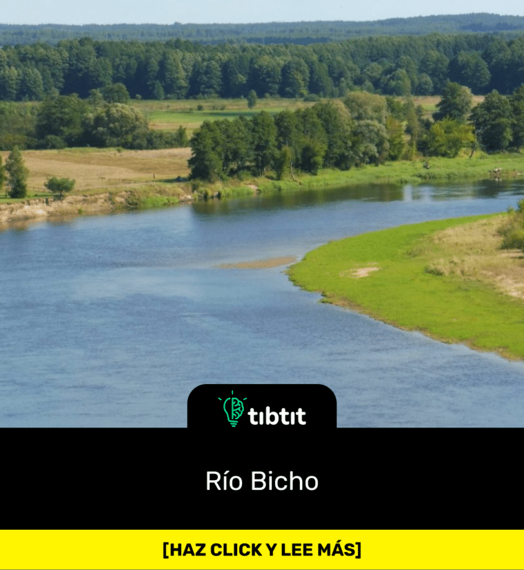 Río Bicho