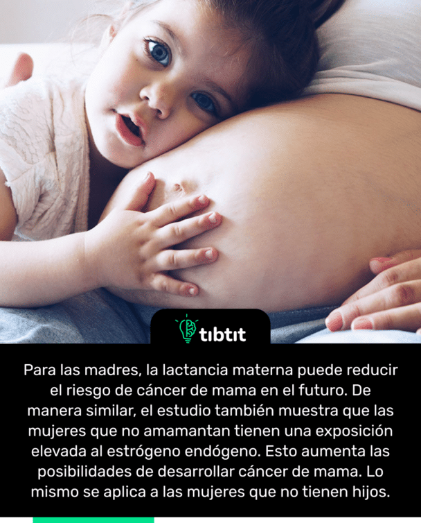 Para las madres, la lactancia materna puede reducir el riesgo de cáncer de mama en el futuro. De manera similar, el estudio también muestra que las mujeres que no amamantan tienen una exposición elevada al estrógeno endógeno. Esto aumenta las posibilidades de desarrollar cáncer de mama. Lo mismo se aplica a las mujeres que no tienen hijos.