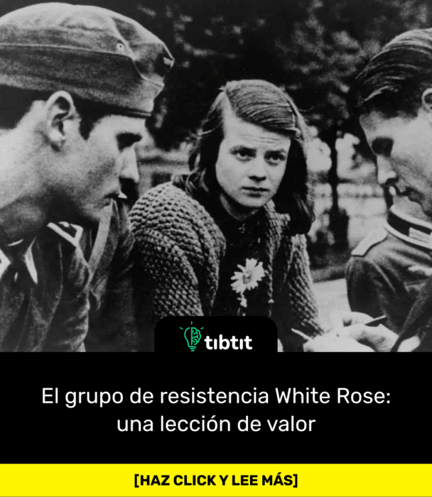 El grupo de resistencia White Rose: una lección de valor