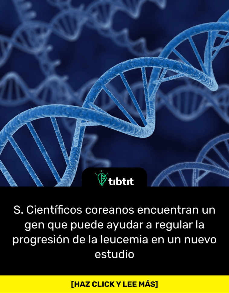 S. Científicos coreanos encuentran un gen que puede ayudar a regular la progresión de la leucemia en un nuevo estudio