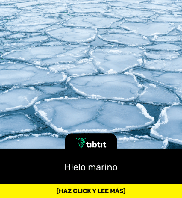 Hielo marino
