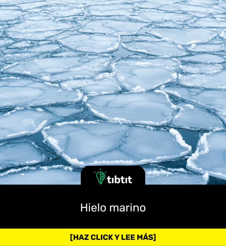 Hielo marino