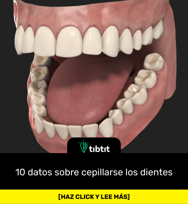 10 datos sobre cepillarse los dientes
