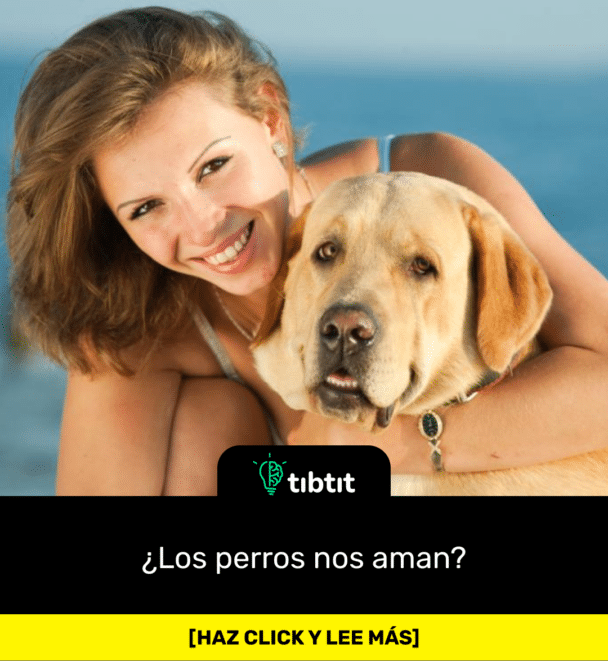 ¿Los perros nos aman?
