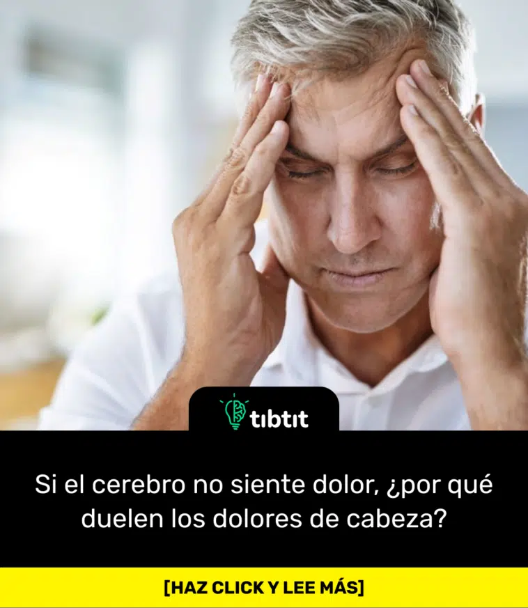 Si el cerebro no siente dolor, ¿por qué duelen los dolores de cabeza?