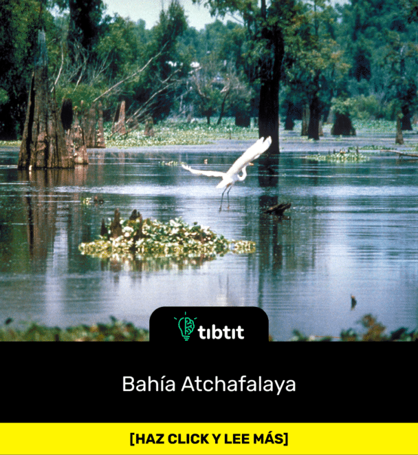 Bahía Atchafalaya