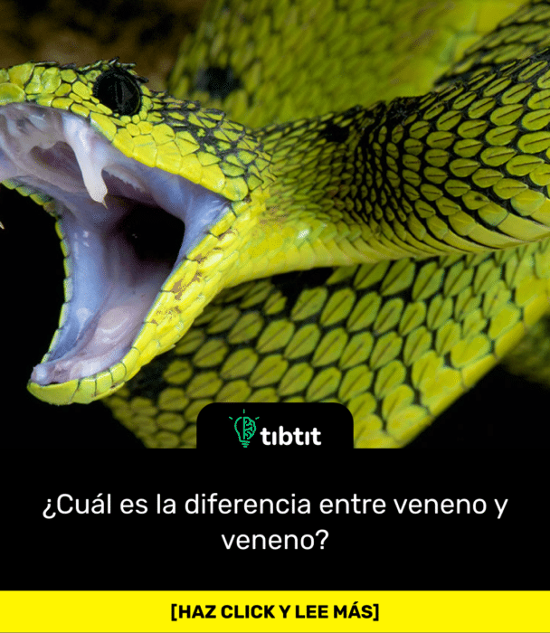 ¿Cuál es la diferencia entre veneno y veneno?