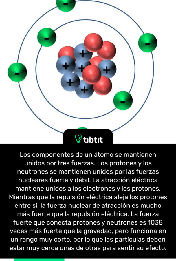 Los componentes de un átomo se mantienen unidos por tres fuerzas. Los protones y los neutrones se mantienen unidos por las fuerzas nucleares fuerte y débil. La atracción eléctrica mantiene unidos a los electrones y los protones. Mientras que la repulsión eléctrica aleja los protones entre sí, la fuerza nuclear de atracción es mucho más fuerte que la repulsión eléctrica. La fuerza fuerte que conecta protones y neutrones es 1038 veces más fuerte que la gravedad, pero funciona en un rango muy corto, por lo que las partículas deben estar muy cerca unas de otras para sentir su efecto.