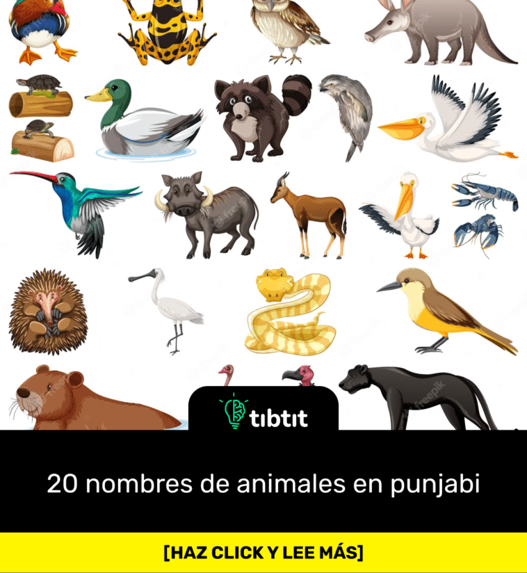 20 nombres de animales en punjabi