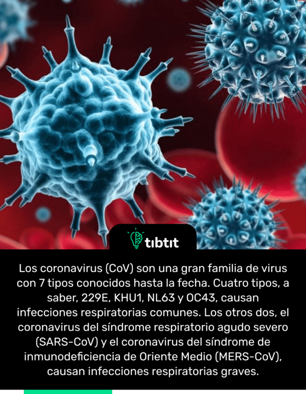 Los coronavirus (CoV) son una gran familia de virus con 7 tipos conocidos hasta la fecha. Cuatro tipos, a saber, 229E, KHU1, NL63 y OC43, causan infecciones respiratorias comunes. Los otros dos, el coronavirus del síndrome respiratorio agudo severo (SARS-CoV) y el coronavirus del síndrome de inmunodeficiencia de Oriente Medio (MERS-CoV), causan infecciones respiratorias graves.