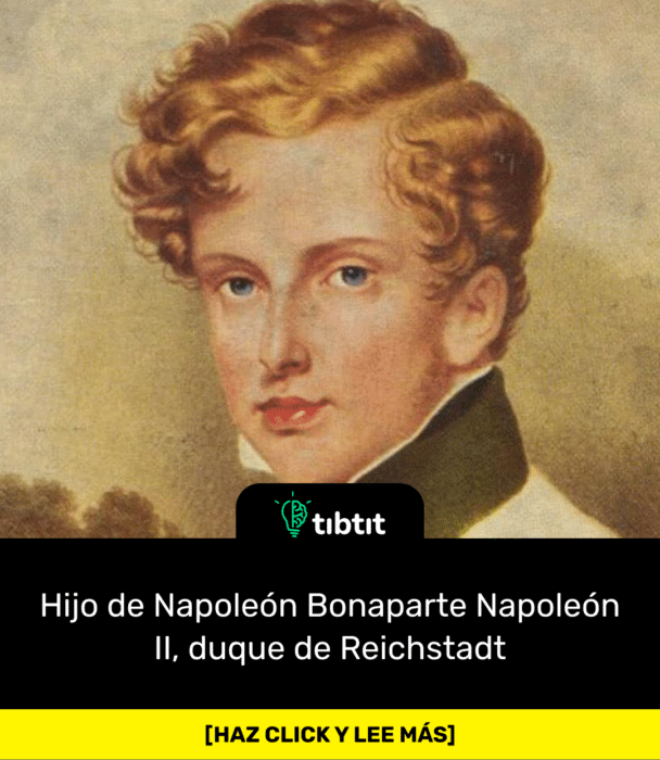 Hijo de Napoleón Bonaparte Napoleón II, duque de Reichstadt