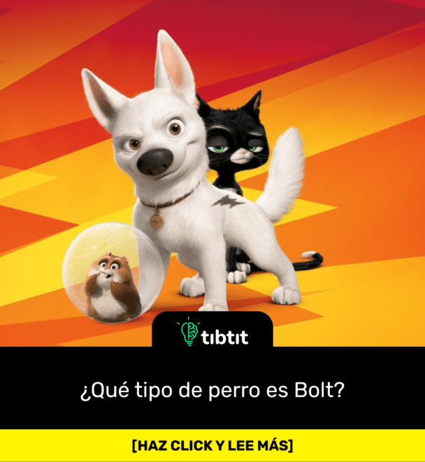 ¿Qué tipo de perro es Bolt?