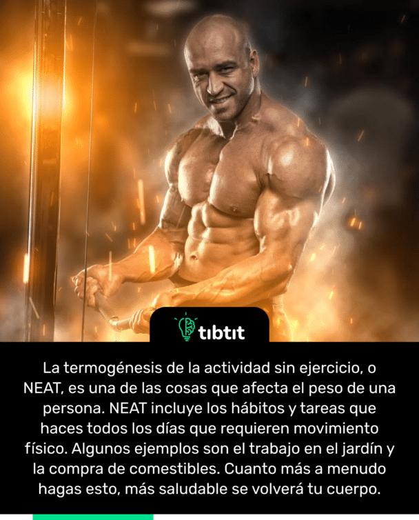 La termogénesis de la actividad sin ejercicio, o NEAT, es una de las cosas que afecta el peso de una persona. NEAT incluye los hábitos y tareas que haces todos los días que requieren movimiento físico. Algunos ejemplos son el trabajo en el jardín y la compra de comestibles. Cuanto más a menudo hagas esto, más saludable se volverá tu cuerpo.