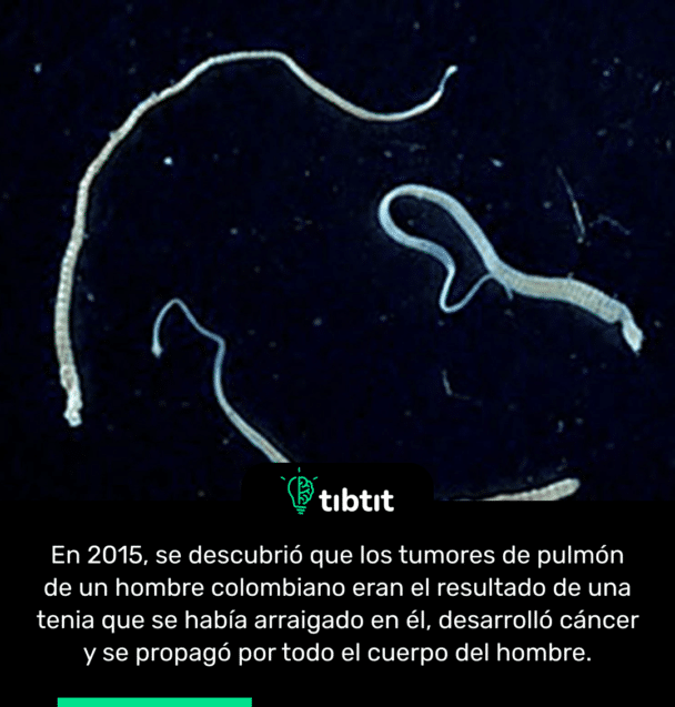 En 2015, se descubrió que los tumores de pulmón de un hombre colombiano eran el resultado de una tenia que se había arraigado en él, desarrolló cáncer y se propagó por todo el cuerpo del hombre.