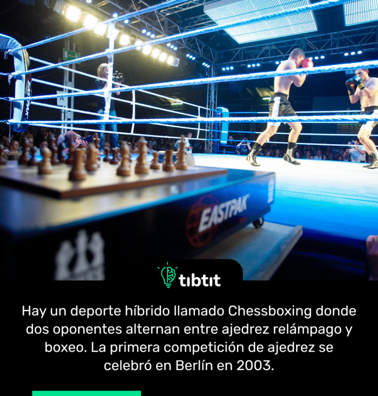Hay un deporte híbrido llamado Chessboxing donde dos oponentes alternan entre ajedrez relámpago y boxeo. La primera competición de ajedrez se celebró en Berlín en 2003.