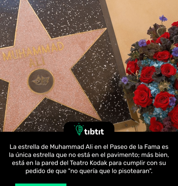 La estrella de Muhammad Ali en el Paseo de la Fama es la única estrella que no está en el pavimento; más bien, está en la pared del Teatro Kodak para cumplir con su pedido de que "no quería que lo pisotearan".