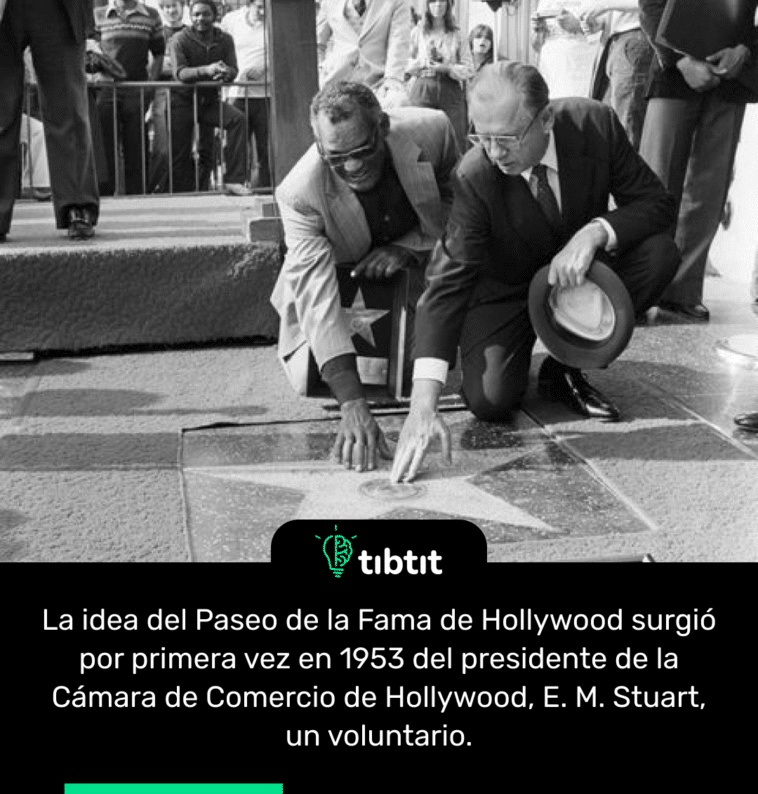 La idea del Paseo de la Fama de Hollywood surgió por primera vez en 1953 del presidente de la Cámara de Comercio de Hollywood, E. M. Stuart, un voluntario.